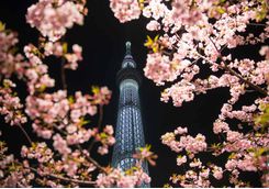 Tokyo Skytree Tower