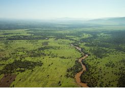 serengeti