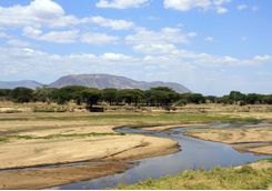 ruaha river