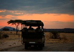 safari jeep