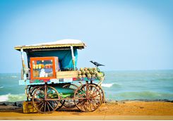 Pondicherry fruit cart