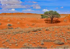 The desert view in Namibrand