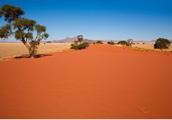An orange desert road in Namibrand