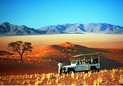 A jeep in the Wolwedans