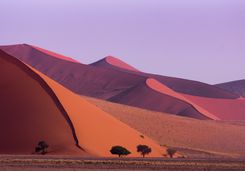 The sossusvlei dunes