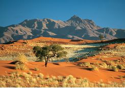 The colourful landscape of Wolwedans
