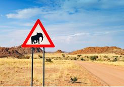 Elephant crossing road sign