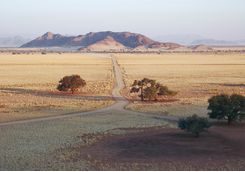 A road through the landscape of Hoanib