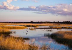 Etosha river