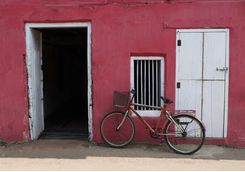 Cycling in Cochin