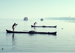 lake Vembanad, Kerala