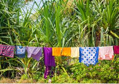 Laundry, Backwaters