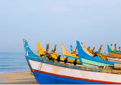 Kerala boats
