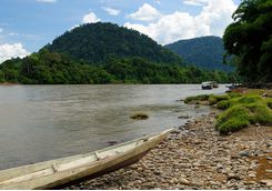 Tanjung Puting National Park, Kalimantan