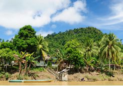 Tanjung Puting National Park, Kalimantan