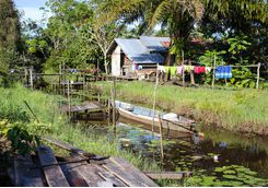 Houses in Tanjung Puting National Park, Kalimantan