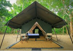 Leopard Trails Tent