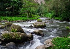 Ubud river rapids