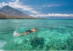 Snorkelling in Komodo