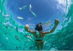 Snorkelling in Mauritius