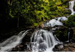coorg stream