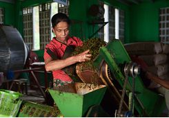A tea factory in Sri Lanka