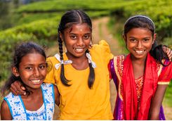 Children in the tea hills