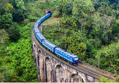 Train going through the tea hills