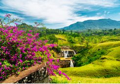 Waterfalls in the tea hills