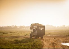 A safari jeep in yala