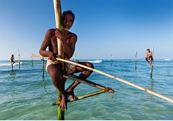 Traditional fishing in Galle