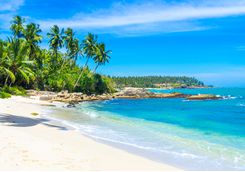 Beach in Sri Lanka's South