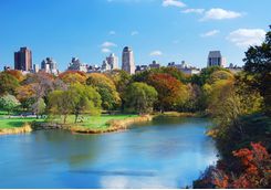 Central park in New York
