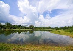 udawalawe