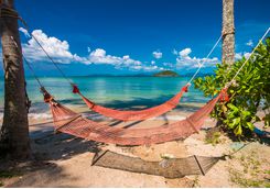 hammocks
