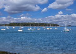 Sailing in the Portland harbour