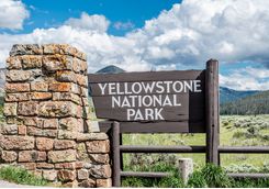 Yellowstone National Park