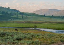 Lamar Valley
