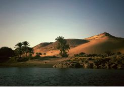 nile_views