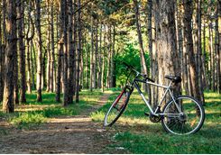 iStock_695239962_Day_12_Cycling_Oak_Bluff