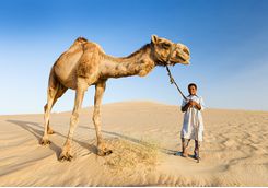 bedouin_boy_with_camel