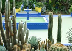 Marrakech cacti gardens
