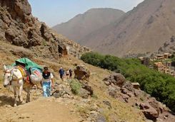 atlas adventure trek