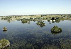 The Okavango Wetlands