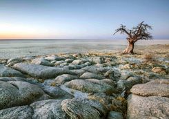 The Makgadikgadi Salt Pans