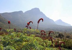 Botanical garden