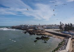 View of the harbour of Essaouira