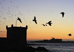 Sunrise in Essaouira