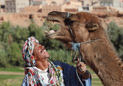Moroccan man smiling with camel