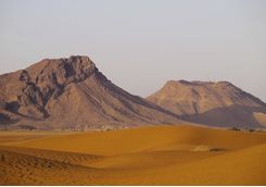 Desert landscape
